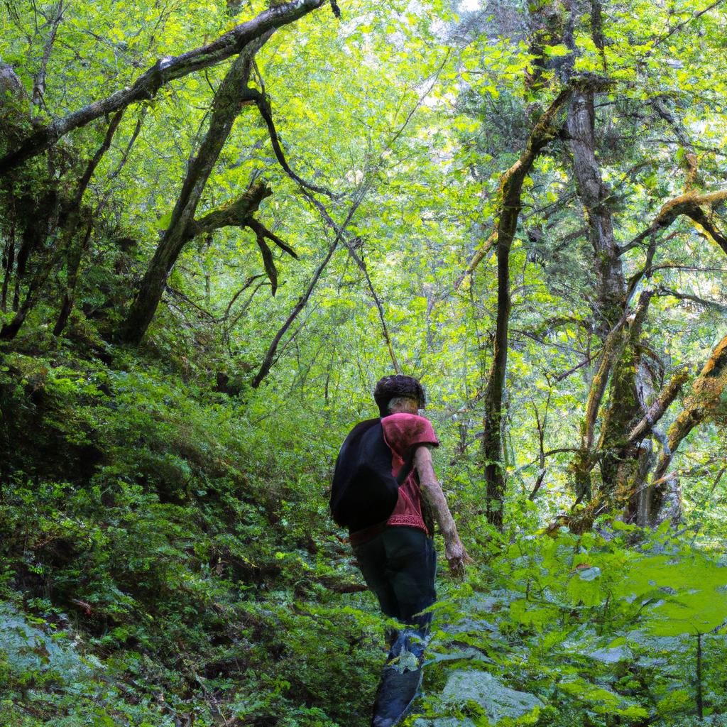 Person hiking in lush forest